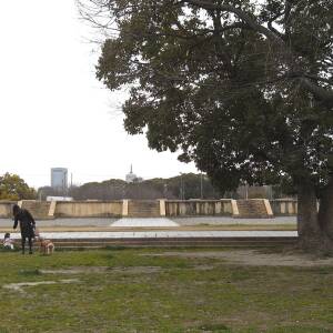 「上町台地」名所図会第24回　難波宮跡