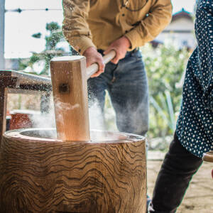 らくごハローワーク第15職　女房の『尻餅』搗（つ）いて春近し