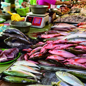 らくごハローワーク第７職　『芝浜』で拾った財布夢と消え