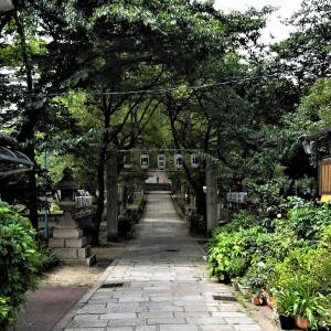 「上町台地」名所図会第1回　高津宮