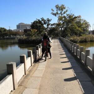 「上町台地」名所図会第３回　万代池