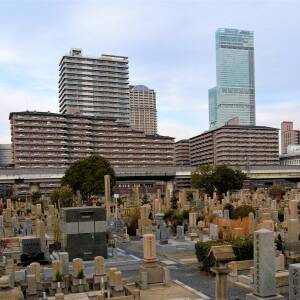 「上町台地」名所図会第27回　阿倍野墓地