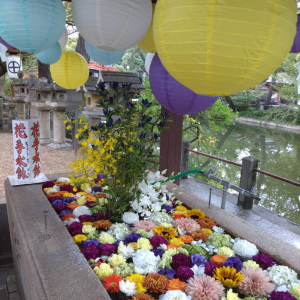 住吉大社の花手水