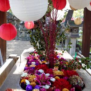 住吉大社の花手水（12月）