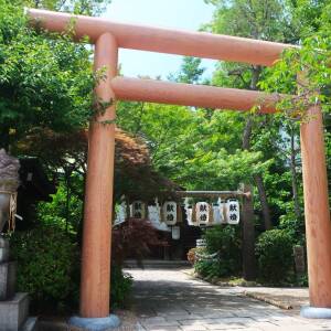 「上町台地」名所図会第42回　堀越神社（大阪市天王寺区）