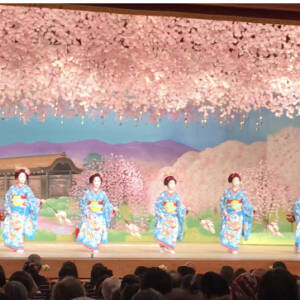 春を呼ぶ！祇園甲部「都をどり」開幕です！