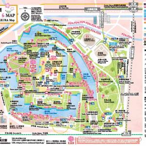 大阪城公園桜MAP2025