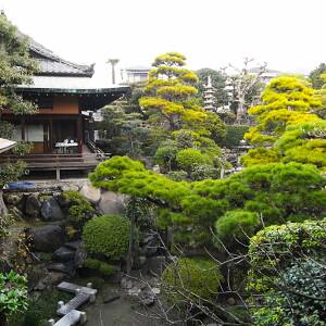 「上町台地」名所図会第51回　朝陽館（大阪市阿倍野区）