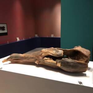 レビュー☆大阪歴史博物館「正倉院 THE SHOW－感じる。いま、ここにある奇跡－」