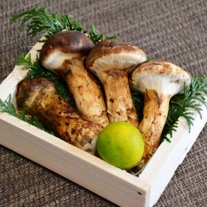 らくごハローワーク第47職　良い悪い皆突っ込みの『松茸屋』