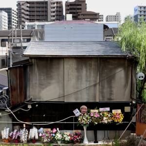 vol.29　最優秀作品賞・特別賞「祝　開店」増永良二（第18回夕陽丘うえまち写真コンテスト(新)）