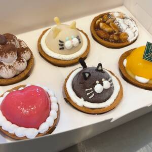 保護猫カフェ「ねことカフェ」、限定猫タルトプロジェクト、CAMPFIREにて開始