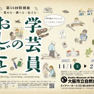 11/1－2/1 学芸員のおしごと（大阪市立自然史博物館）